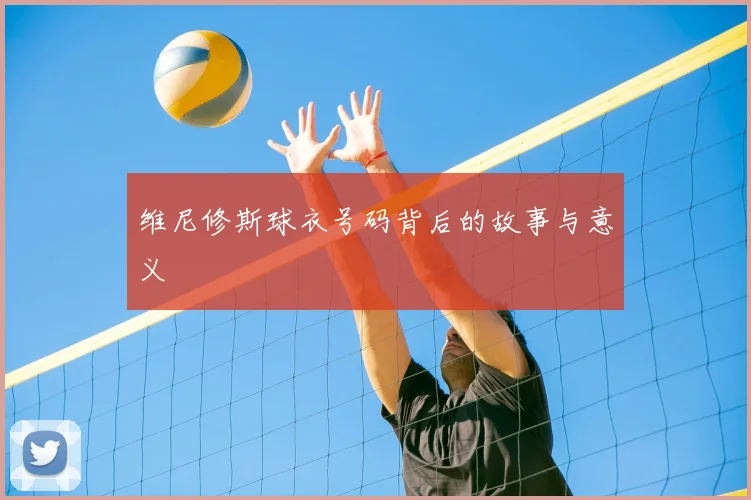维尼修斯球衣号码背后的故事与意义